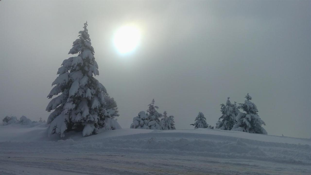 Appartamento Baritur San Carlos de Bariloche Esterno foto